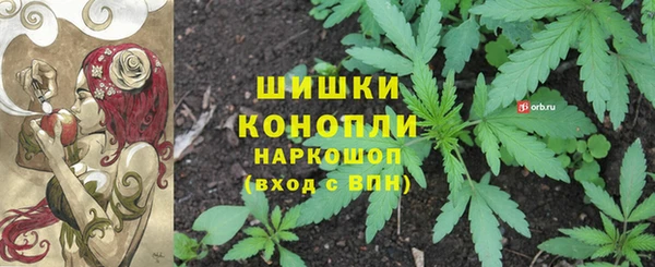 сатива Осинники